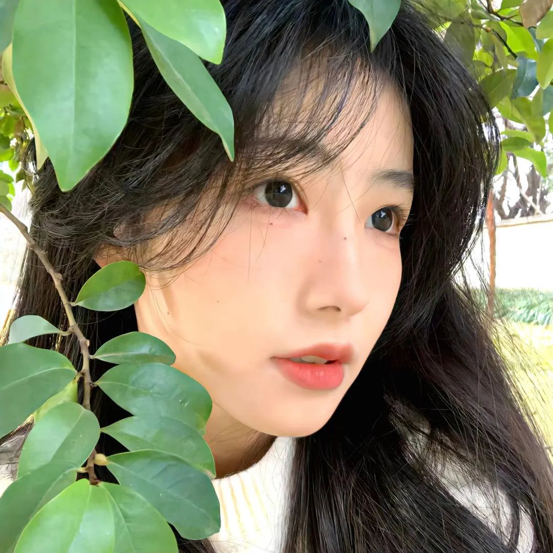当花季遇见梦想